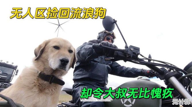 如何才能躲避狼群、龙卷风?救救大叔》给你答案! 如何才能躲避狼群、龙卷风?救救大叔》给你答案!