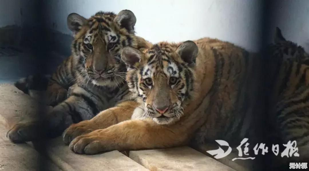 想体验治愈系农场生活?角落萌宠农场中文版》不容错过! 想体验治愈系农场生活?角落萌宠农场中文版》不容错过!