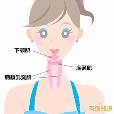 轻松告别双下巴:实用日常锻炼与饮食调整指南 轻松告别双下巴:实用日常锻炼与饮食调整指南