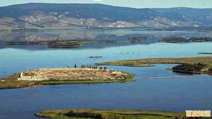 躲避与反击的艺术，谁能在《遗迹猎人叛军崛起》中脱颖而出？