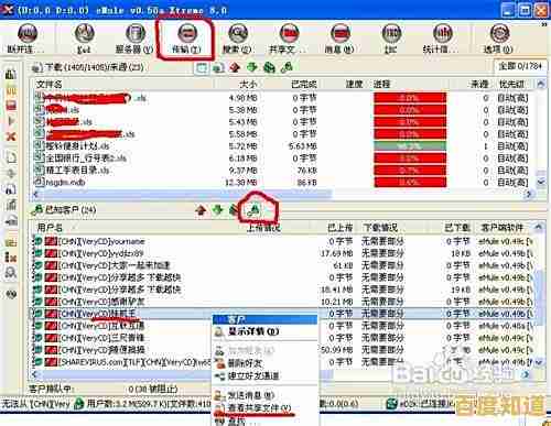 了解用户名的核心意义：如何选择与管理您的网络标识