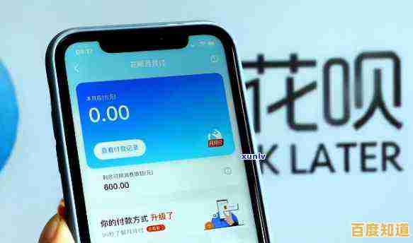 全面了解蚂蚁花呗还款方法:省时省心的操作指南 全面了解蚂蚁花呗还款方法:省时省心的操作指南