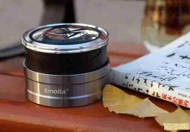 电脑放大镜：视力辅助与眼疲劳缓解的高效解决方案