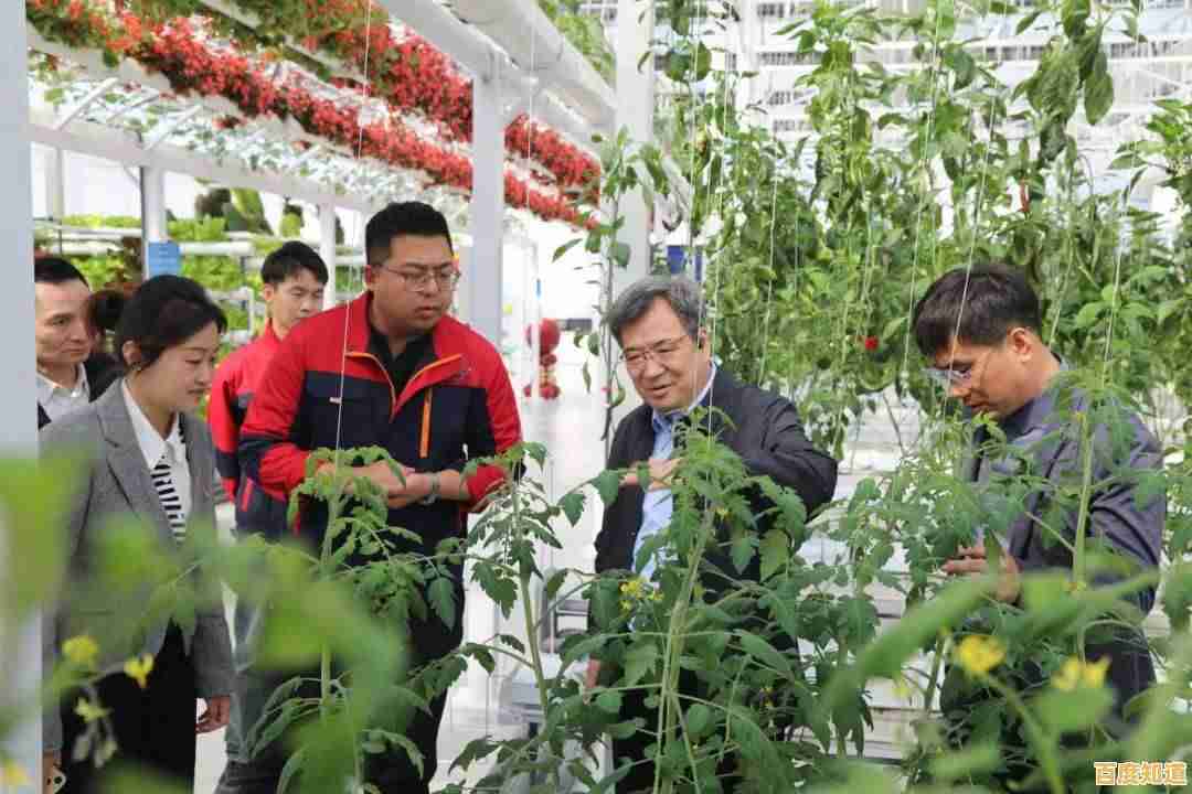 【qq农场论坛】分享高效种植技巧,探讨农业科技应用与创新 【qq农场论坛】分享高效种植技巧,探讨农业科技应用与创新