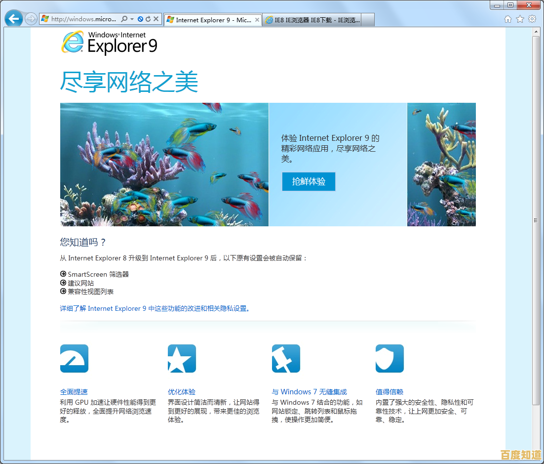 掌握五个实用技巧轻松应对IE8浏览器兼容性问题