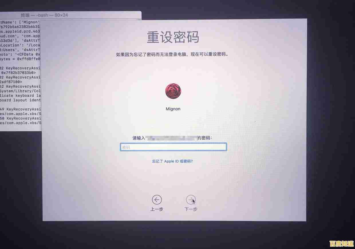 如何在Windows 11中彻底关闭开机密码保护功能