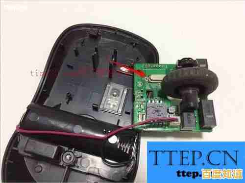 电脑鼠标滚轮失灵怎么办？专家教你一步步诊断和修复问题