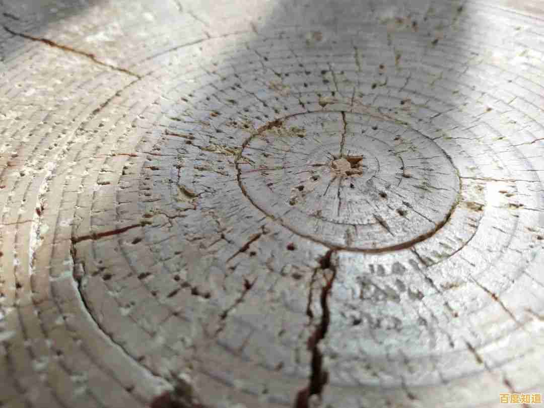 《年轮》这款穿越时空的外卖员冒险,你准备好揭开古树的秘密了吗?