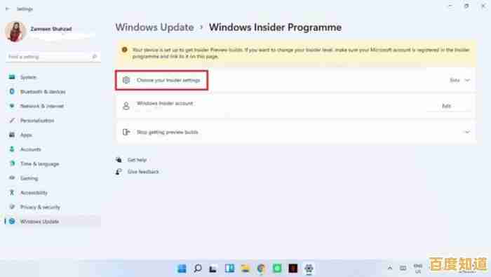 Win11如何切换至DEV频道：详细操作指南与注意事项
