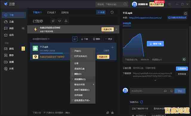 最新Win11系统迅雷高速下载方法及安装步骤全面解析