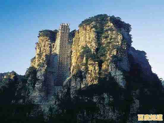 相机天梯排名全揭秘：深度剖析全球领先品牌及其激烈竞争态势