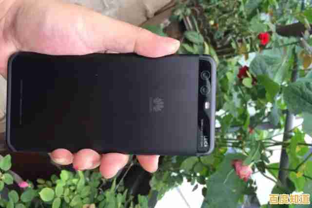 硬盘天梯图引领存储革命:解锁数字时代的无限存储可能性