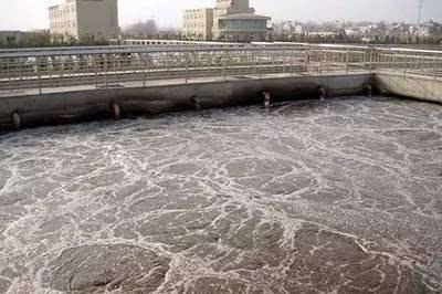 小白之家:全面解析各类疑问,助你从新手蜕变为行业专家! 小白之家:全面解析各类疑问,助你从新手蜕变为行业专家!