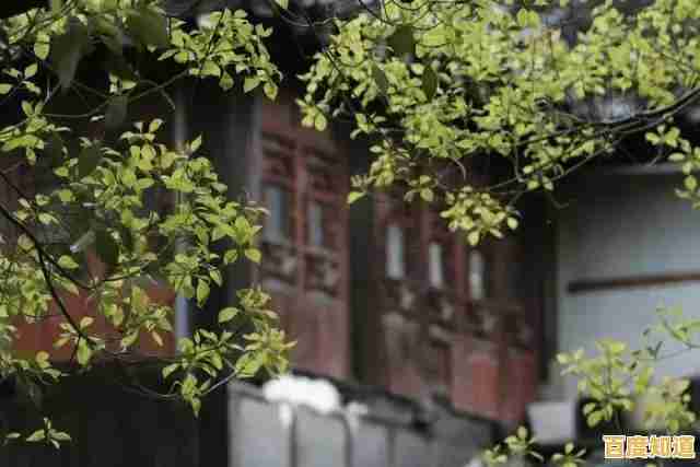 被困神秘荒野如何脱身？饥荒联机版》用智慧与资源书写你的生存传奇！