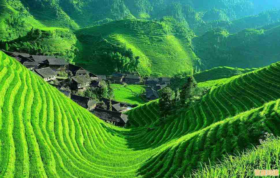 相机天梯图:从入门到专业,助您完美捕捉世界动人美景 相机天梯图:从入门到专业,助您完美捕捉世界动人美景