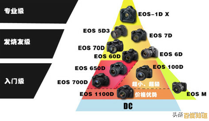 探索单反相机的核心定义:从入门到精通的全面指南
