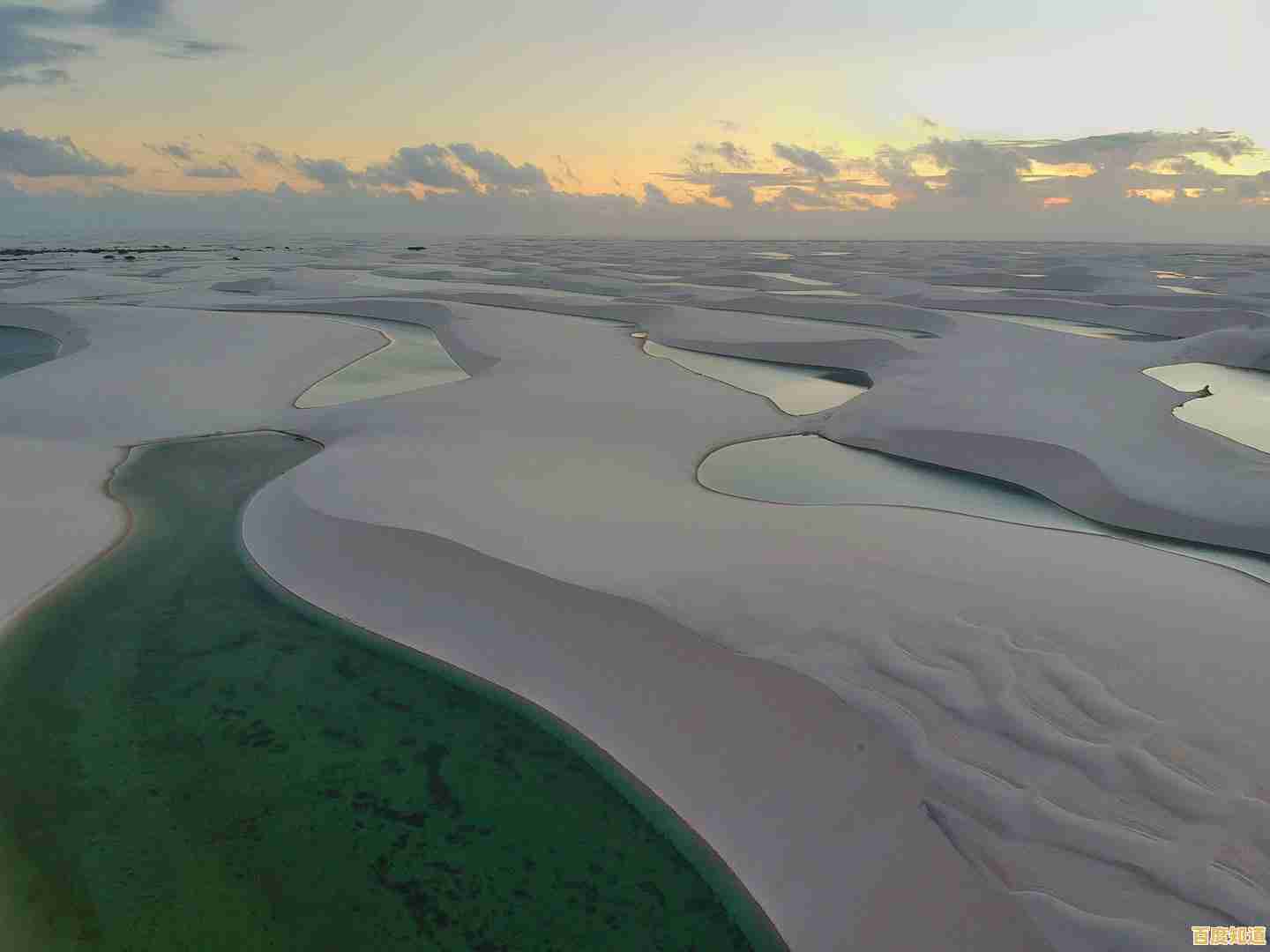 还在为资源发愁?试试迷你世界雨林版本无限迷你币如何?