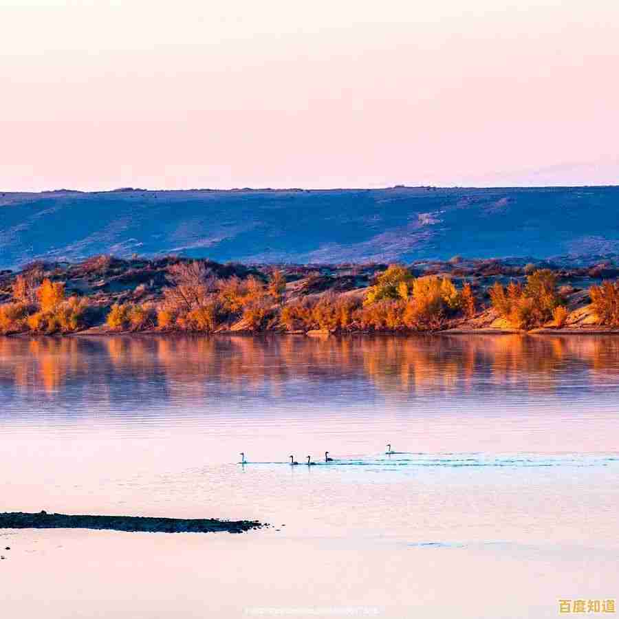 全新升级西部数据SSD天梯图:高速大容量兼备,为专业工作流程加速