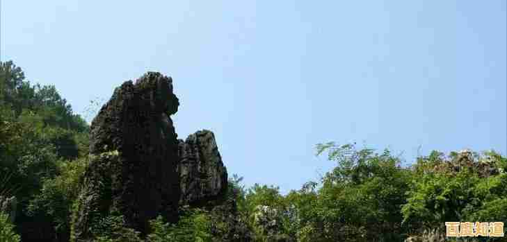 叫上小伙伴，躺平发育迷宫版的多样玩法，你准备好了吗？