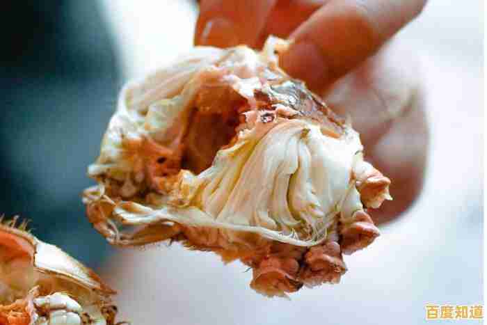 跟随小鱼深入解析苹果笔记本的优缺点及适用场景