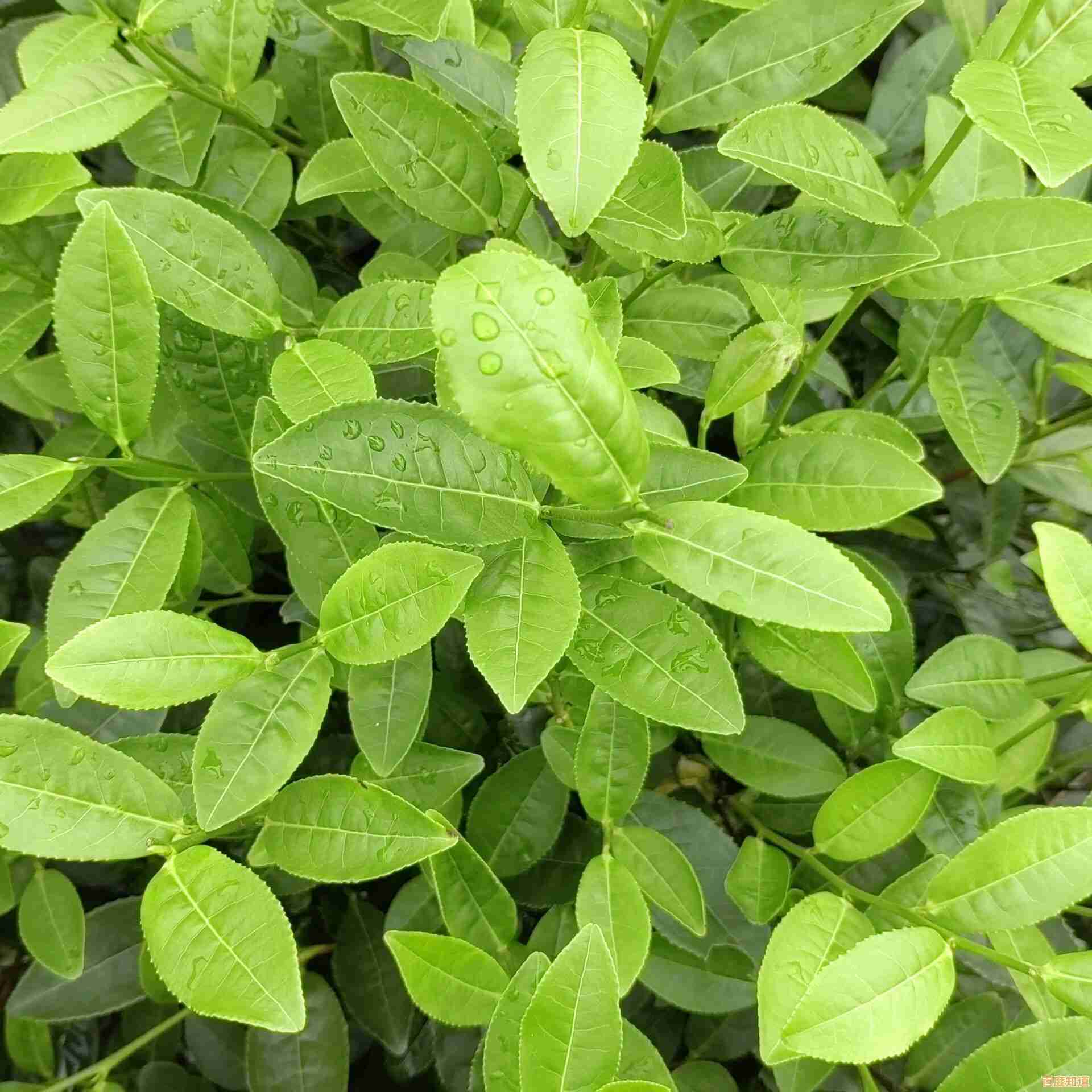 想体验无限创造的乐趣？我的世界》等你来探索！