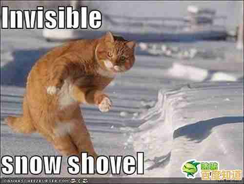 谁说养成游戏只能单调?我的萌宠进化日记》带你的猫咖萌宠去海边度假,不来试试吗? 谁说养成游戏只能单调?我的萌宠进化日记》带你的猫咖萌宠去海边度假,不来试试吗?