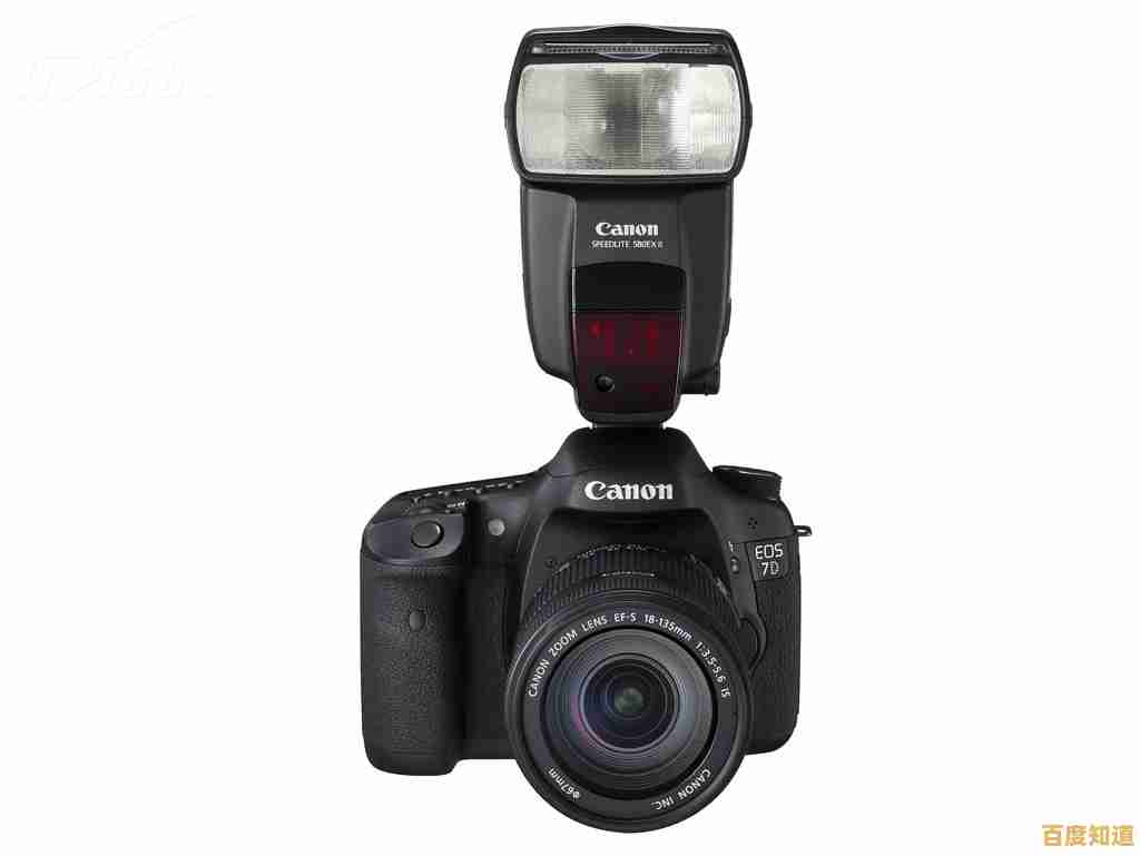 探索摄影视界：佳能相机天梯图高清壁纸带您领略专业拍摄视角