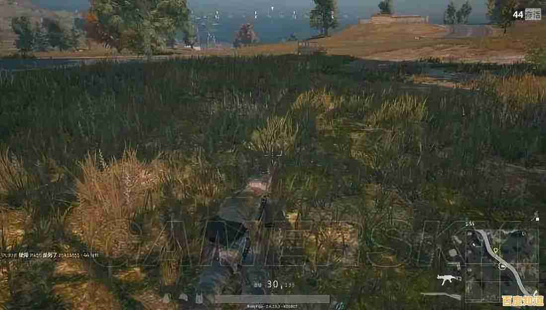 为何你的电脑运行缓慢？深入解析卡顿现象的多重原因