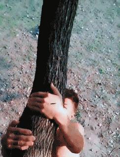 想挑战你的经营头脑？猫咪小吃店最新版》里调配合适口味送餐的乐趣试过没？