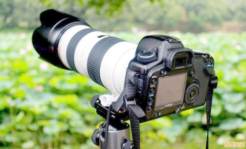 摄影必备单反天梯图:系统提升拍摄水平,快速登上创意摄影之巅! 摄影必备单反天梯图:系统提升拍摄水平,快速登上创意摄影之巅!