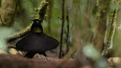 掌握Win11自带截图工具的高效保存技巧 掌握Win11自带截图工具的高效保存技巧